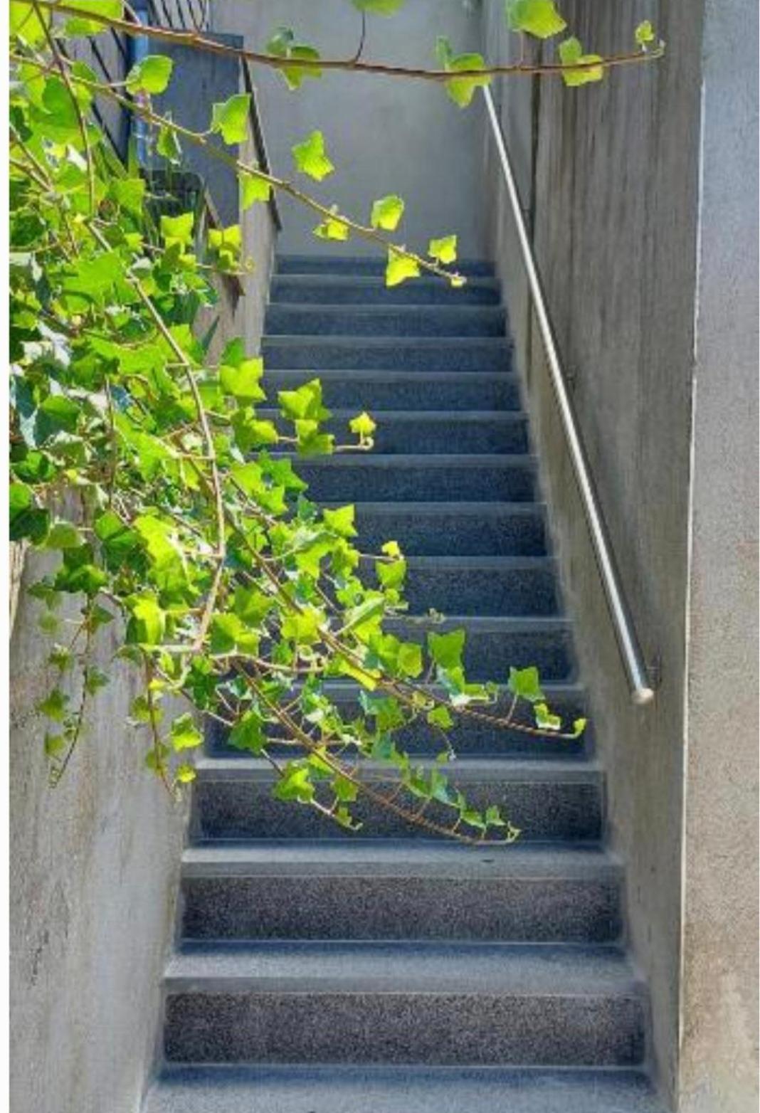 Nazareth Logement Un Magnifique Logement De Vacances บาสตาญ ภายนอก รูปภาพ